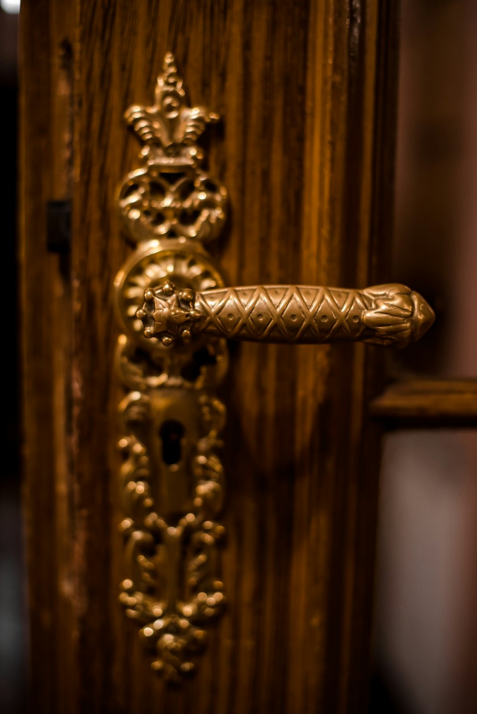 Maniglia di porta antica in ottone su una porta di legno scuro.